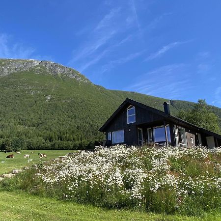 Isfjorden Heinali Hytta 빌라 외부 사진