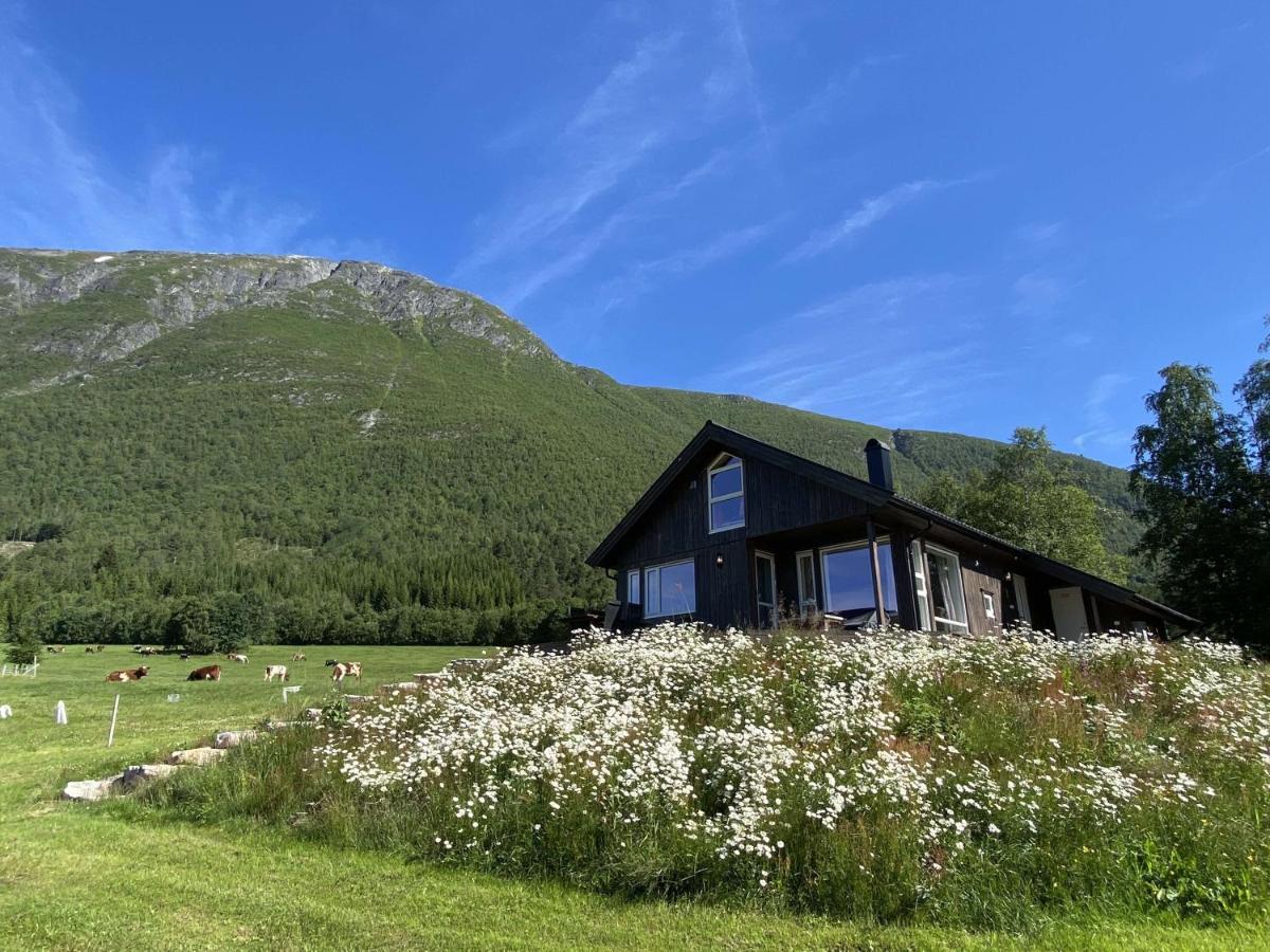 Isfjorden Heinali Hytta 빌라 외부 사진