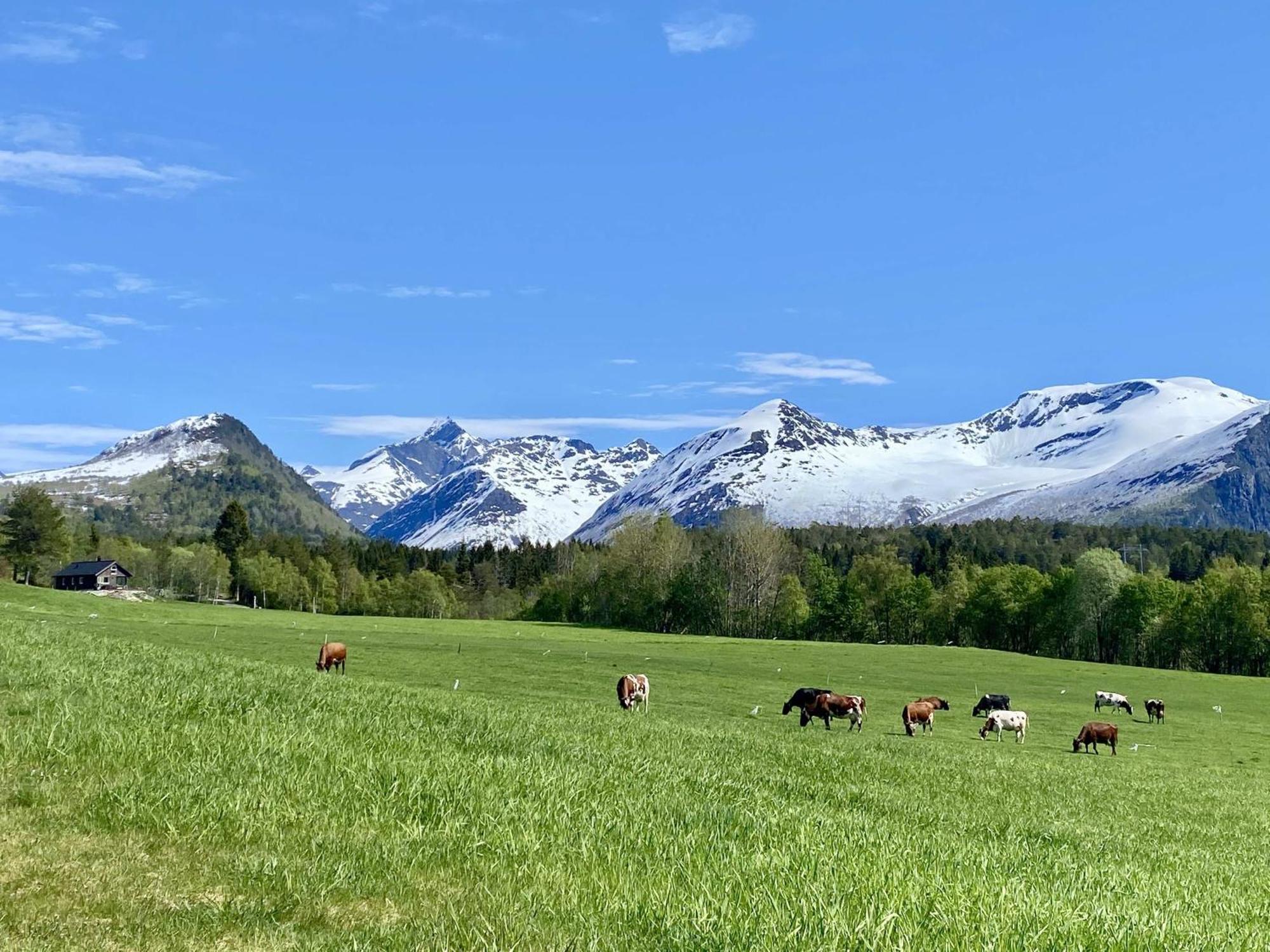 Isfjorden Heinali Hytta 빌라 외부 사진